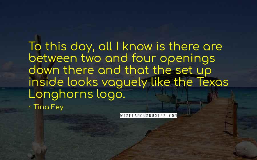 Tina Fey Quotes: To this day, all I know is there are between two and four openings down there and that the set up inside looks vaguely like the Texas Longhorns logo.