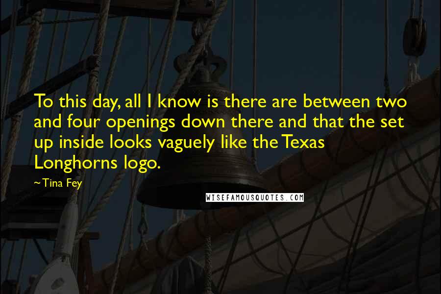 Tina Fey Quotes: To this day, all I know is there are between two and four openings down there and that the set up inside looks vaguely like the Texas Longhorns logo.