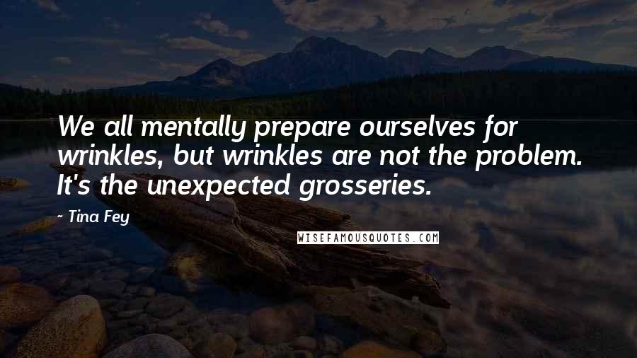 Tina Fey Quotes: We all mentally prepare ourselves for wrinkles, but wrinkles are not the problem. It's the unexpected grosseries.