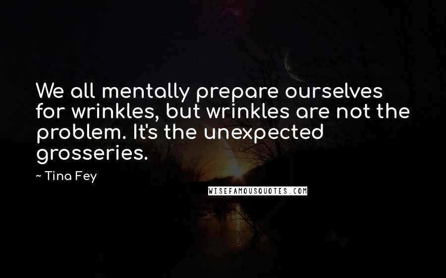 Tina Fey Quotes: We all mentally prepare ourselves for wrinkles, but wrinkles are not the problem. It's the unexpected grosseries.