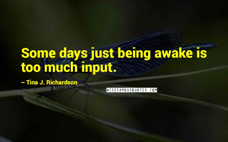 Tina J. Richardson Quotes: Some days just being awake is too much input.