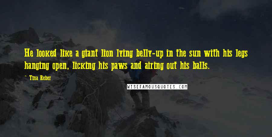 Tina Reber Quotes: He looked like a giant lion lying belly-up in the sun with his legs hanging open, licking his paws and airing out his balls.