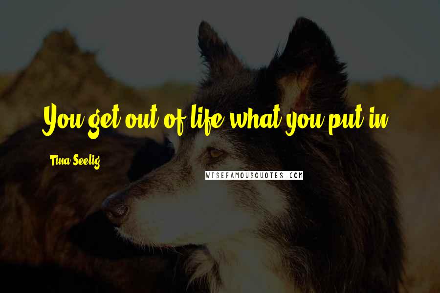 Tina Seelig Quotes: You get out of life what you put in.