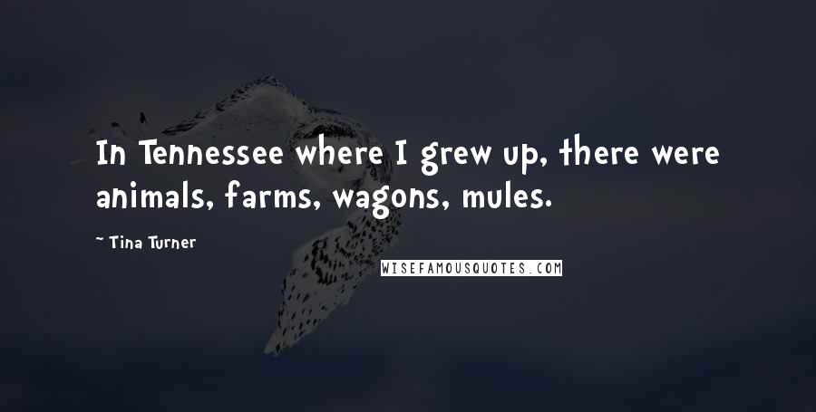 Tina Turner Quotes: In Tennessee where I grew up, there were animals, farms, wagons, mules.