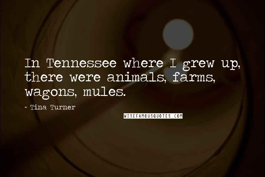 Tina Turner Quotes: In Tennessee where I grew up, there were animals, farms, wagons, mules.