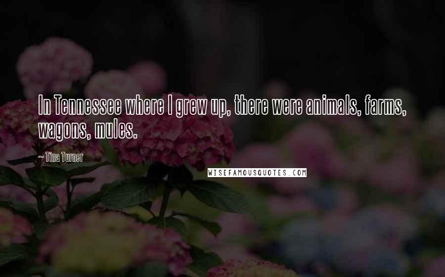 Tina Turner Quotes: In Tennessee where I grew up, there were animals, farms, wagons, mules.