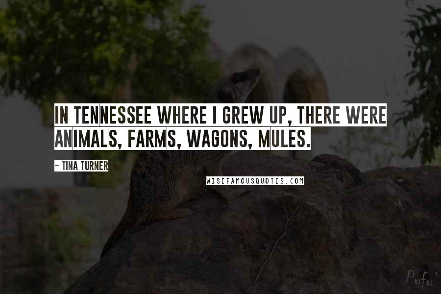 Tina Turner Quotes: In Tennessee where I grew up, there were animals, farms, wagons, mules.