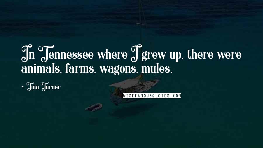 Tina Turner Quotes: In Tennessee where I grew up, there were animals, farms, wagons, mules.