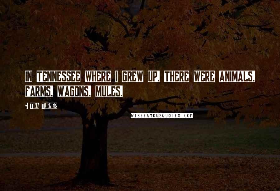 Tina Turner Quotes: In Tennessee where I grew up, there were animals, farms, wagons, mules.
