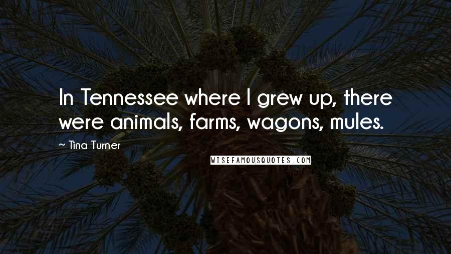 Tina Turner Quotes: In Tennessee where I grew up, there were animals, farms, wagons, mules.