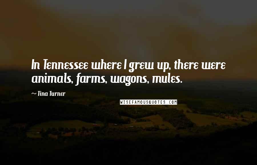 Tina Turner Quotes: In Tennessee where I grew up, there were animals, farms, wagons, mules.