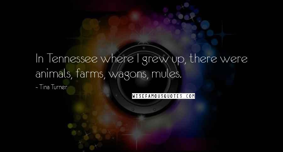 Tina Turner Quotes: In Tennessee where I grew up, there were animals, farms, wagons, mules.