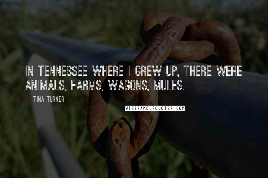 Tina Turner Quotes: In Tennessee where I grew up, there were animals, farms, wagons, mules.