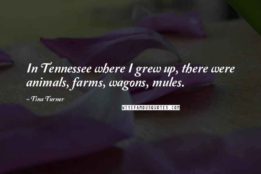 Tina Turner Quotes: In Tennessee where I grew up, there were animals, farms, wagons, mules.