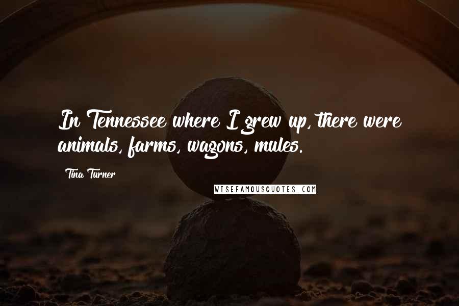 Tina Turner Quotes: In Tennessee where I grew up, there were animals, farms, wagons, mules.
