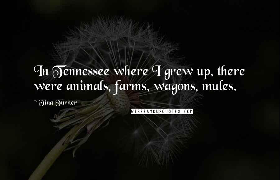 Tina Turner Quotes: In Tennessee where I grew up, there were animals, farms, wagons, mules.
