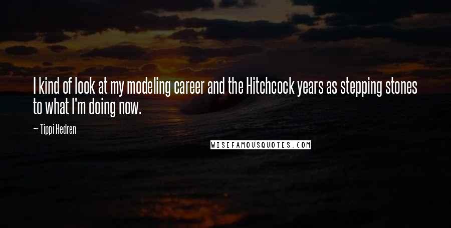 Tippi Hedren Quotes: I kind of look at my modeling career and the Hitchcock years as stepping stones to what I'm doing now.