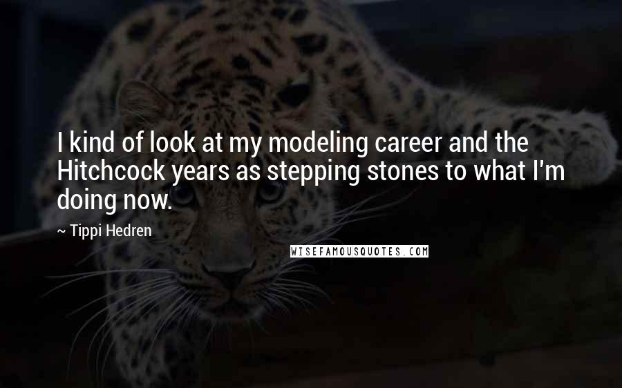 Tippi Hedren Quotes: I kind of look at my modeling career and the Hitchcock years as stepping stones to what I'm doing now.