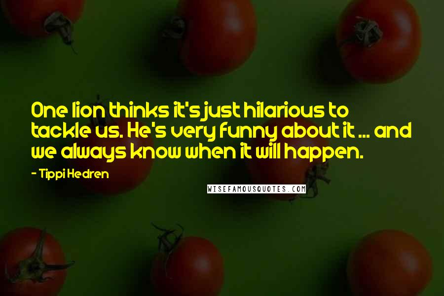 Tippi Hedren Quotes: One lion thinks it's just hilarious to tackle us. He's very funny about it ... and we always know when it will happen.