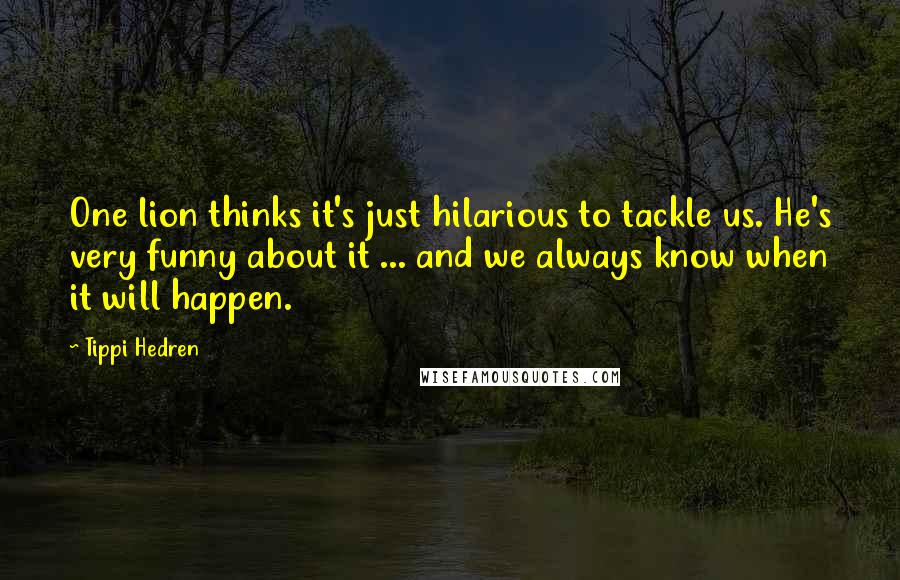 Tippi Hedren Quotes: One lion thinks it's just hilarious to tackle us. He's very funny about it ... and we always know when it will happen.