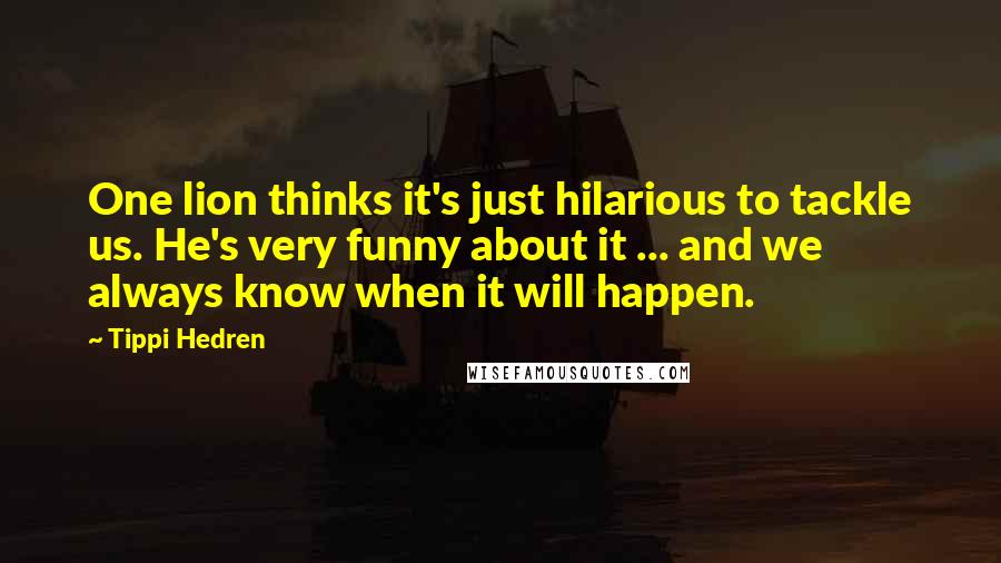 Tippi Hedren Quotes: One lion thinks it's just hilarious to tackle us. He's very funny about it ... and we always know when it will happen.