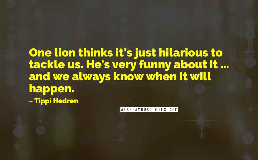 Tippi Hedren Quotes: One lion thinks it's just hilarious to tackle us. He's very funny about it ... and we always know when it will happen.