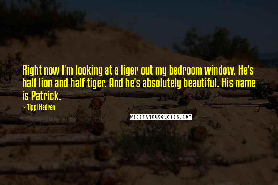 Tippi Hedren Quotes: Right now I'm looking at a liger out my bedroom window. He's half lion and half tiger. And he's absolutely beautiful. His name is Patrick.