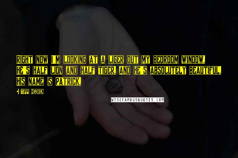 Tippi Hedren Quotes: Right now I'm looking at a liger out my bedroom window. He's half lion and half tiger. And he's absolutely beautiful. His name is Patrick.