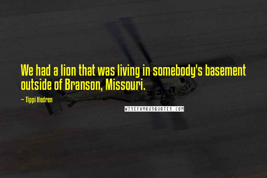 Tippi Hedren Quotes: We had a lion that was living in somebody's basement outside of Branson, Missouri.