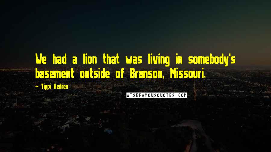 Tippi Hedren Quotes: We had a lion that was living in somebody's basement outside of Branson, Missouri.