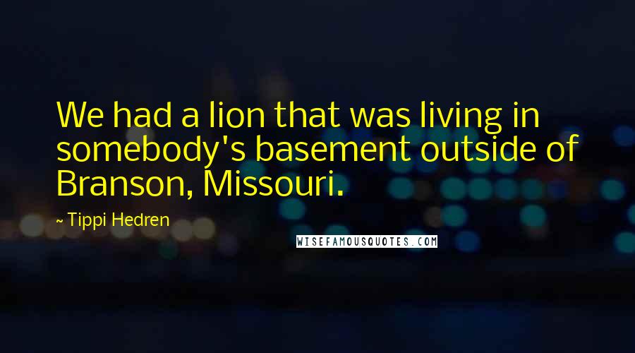 Tippi Hedren Quotes: We had a lion that was living in somebody's basement outside of Branson, Missouri.