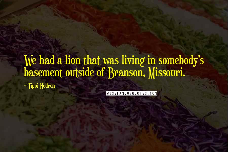 Tippi Hedren Quotes: We had a lion that was living in somebody's basement outside of Branson, Missouri.