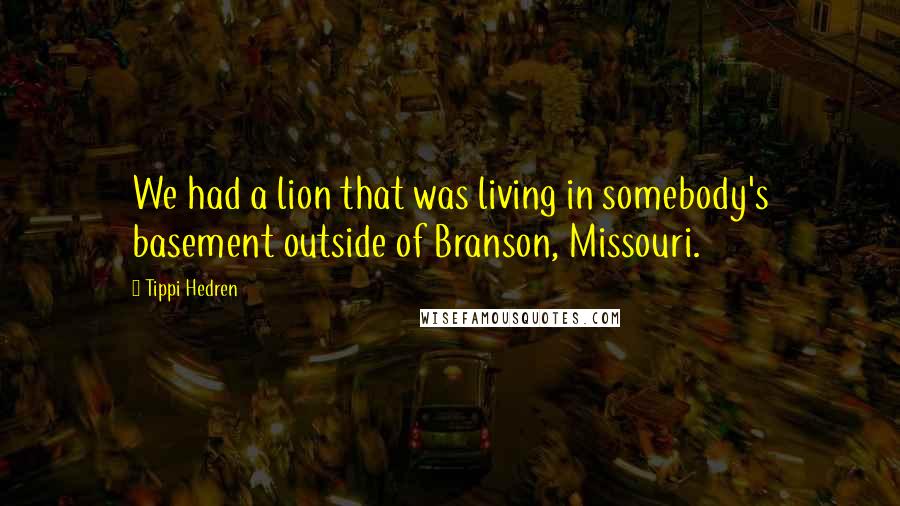 Tippi Hedren Quotes: We had a lion that was living in somebody's basement outside of Branson, Missouri.