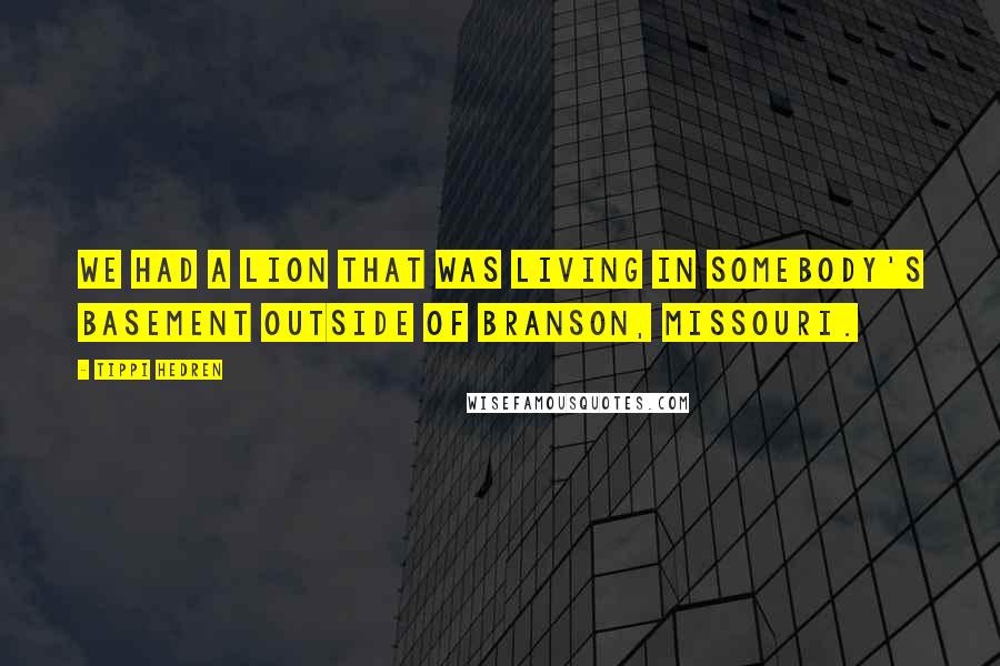 Tippi Hedren Quotes: We had a lion that was living in somebody's basement outside of Branson, Missouri.