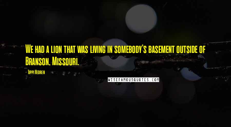 Tippi Hedren Quotes: We had a lion that was living in somebody's basement outside of Branson, Missouri.