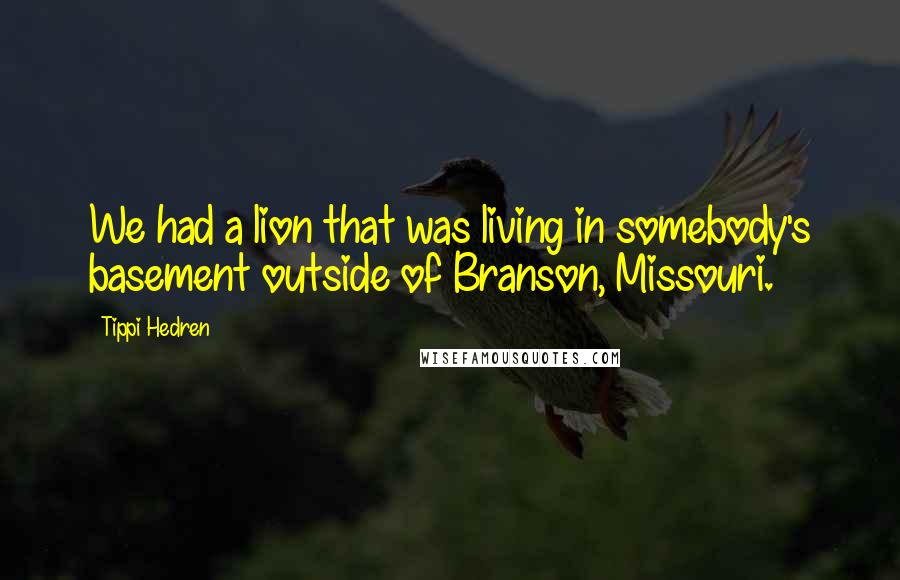 Tippi Hedren Quotes: We had a lion that was living in somebody's basement outside of Branson, Missouri.