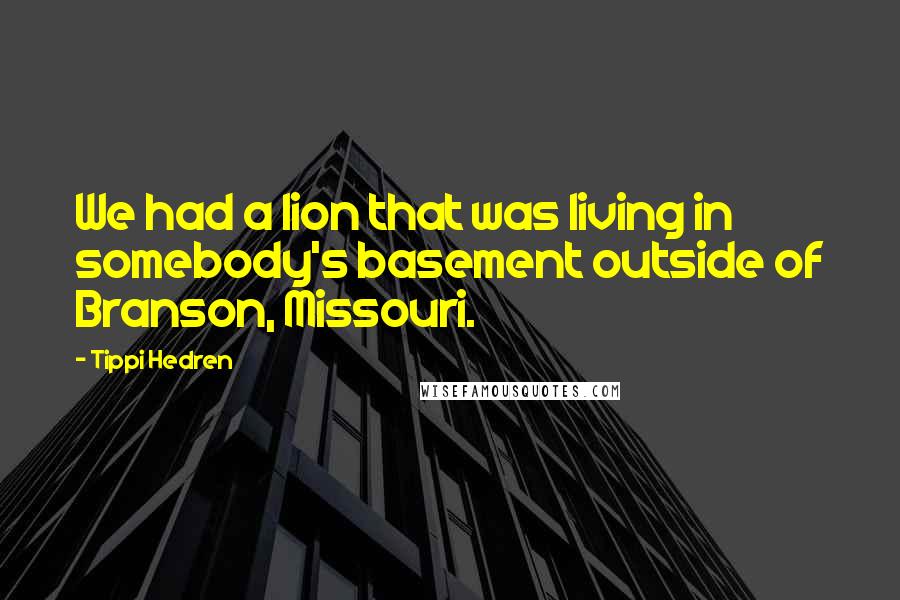 Tippi Hedren Quotes: We had a lion that was living in somebody's basement outside of Branson, Missouri.