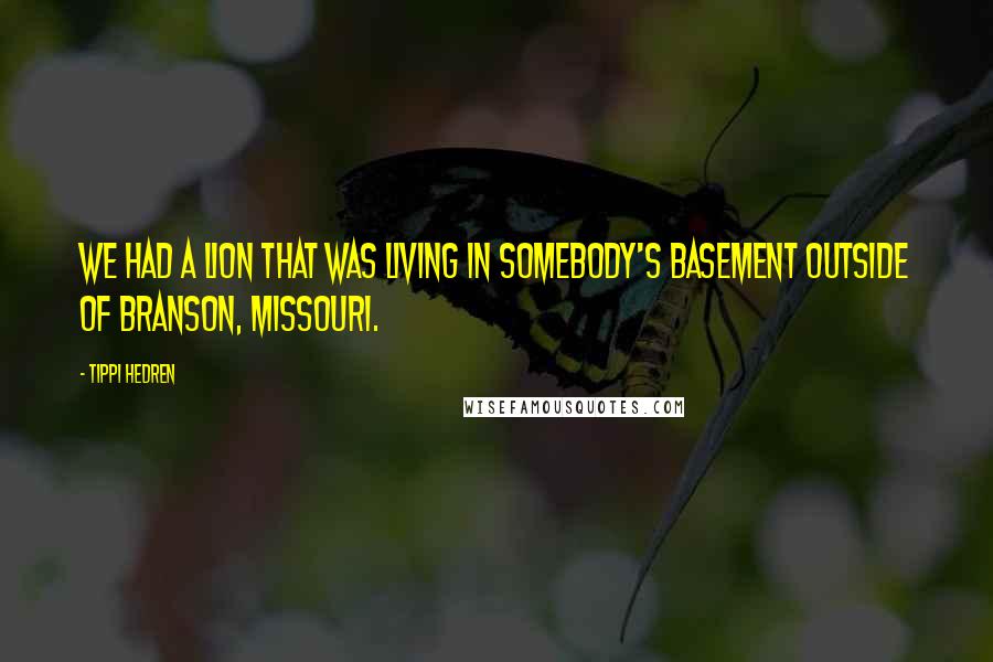 Tippi Hedren Quotes: We had a lion that was living in somebody's basement outside of Branson, Missouri.