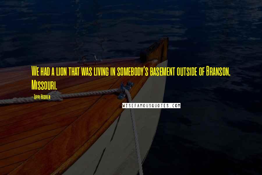 Tippi Hedren Quotes: We had a lion that was living in somebody's basement outside of Branson, Missouri.