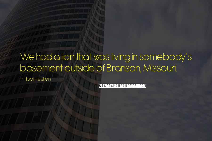 Tippi Hedren Quotes: We had a lion that was living in somebody's basement outside of Branson, Missouri.