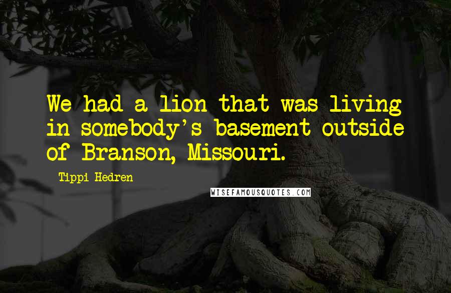 Tippi Hedren Quotes: We had a lion that was living in somebody's basement outside of Branson, Missouri.