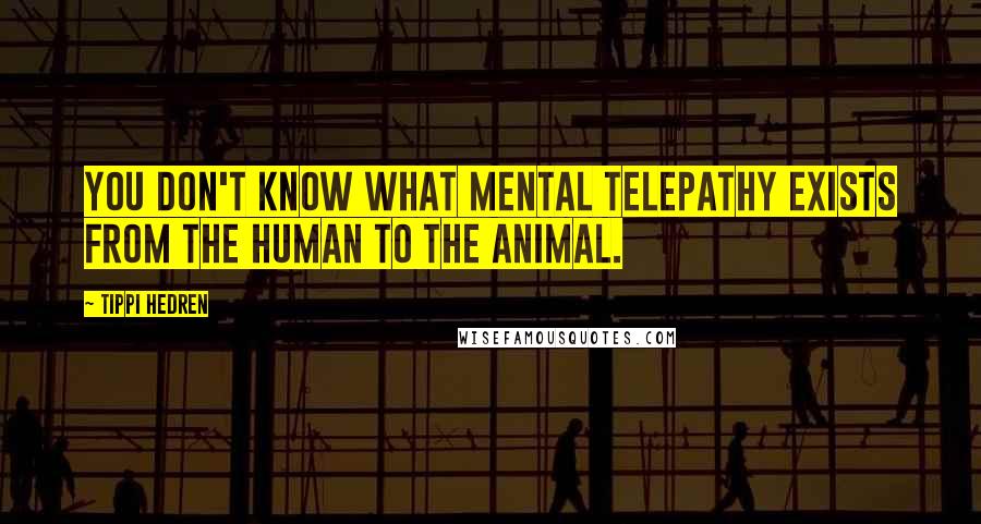 Tippi Hedren Quotes: You don't know what mental telepathy exists from the human to the animal.