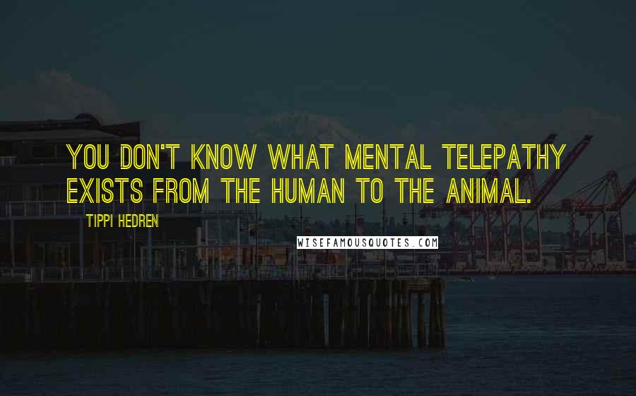 Tippi Hedren Quotes: You don't know what mental telepathy exists from the human to the animal.