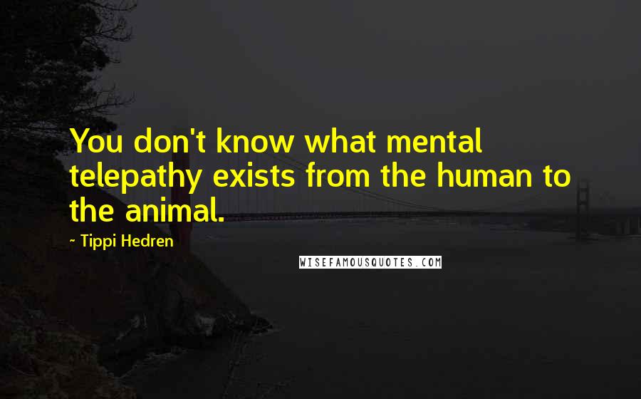 Tippi Hedren Quotes: You don't know what mental telepathy exists from the human to the animal.