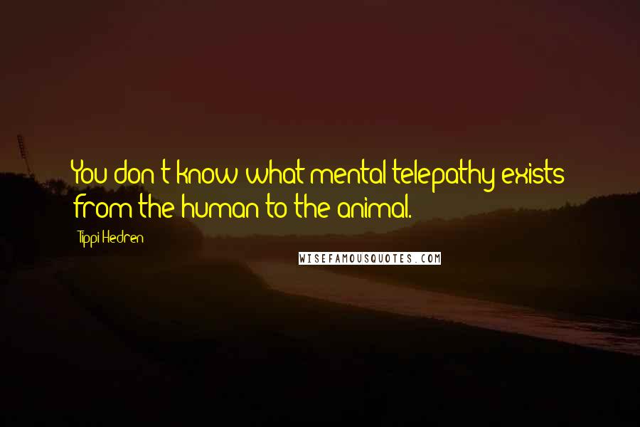 Tippi Hedren Quotes: You don't know what mental telepathy exists from the human to the animal.