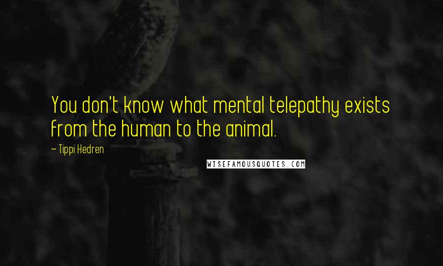 Tippi Hedren Quotes: You don't know what mental telepathy exists from the human to the animal.