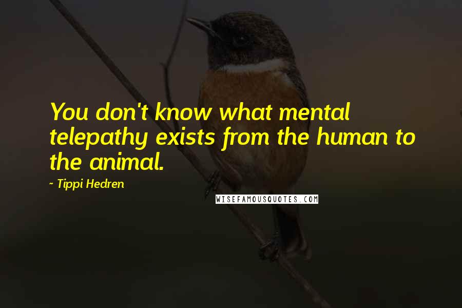 Tippi Hedren Quotes: You don't know what mental telepathy exists from the human to the animal.