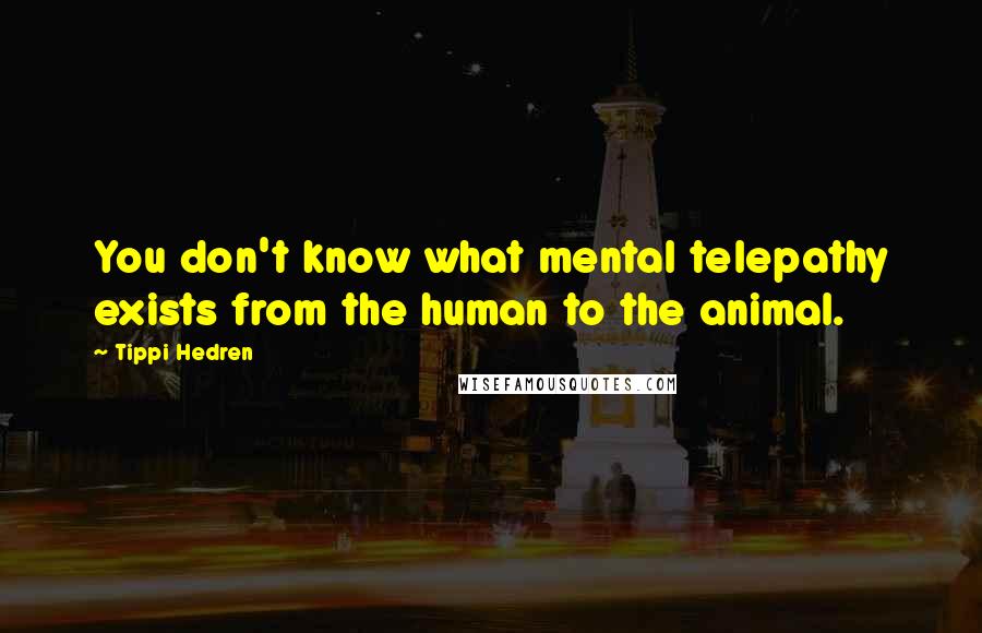Tippi Hedren Quotes: You don't know what mental telepathy exists from the human to the animal.