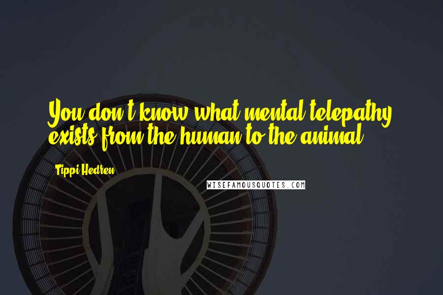 Tippi Hedren Quotes: You don't know what mental telepathy exists from the human to the animal.