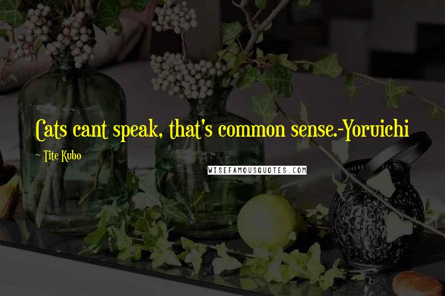 Tite Kubo Quotes: Cats cant speak, that's common sense.-Yoruichi